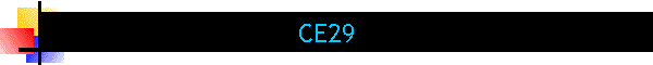 CE29